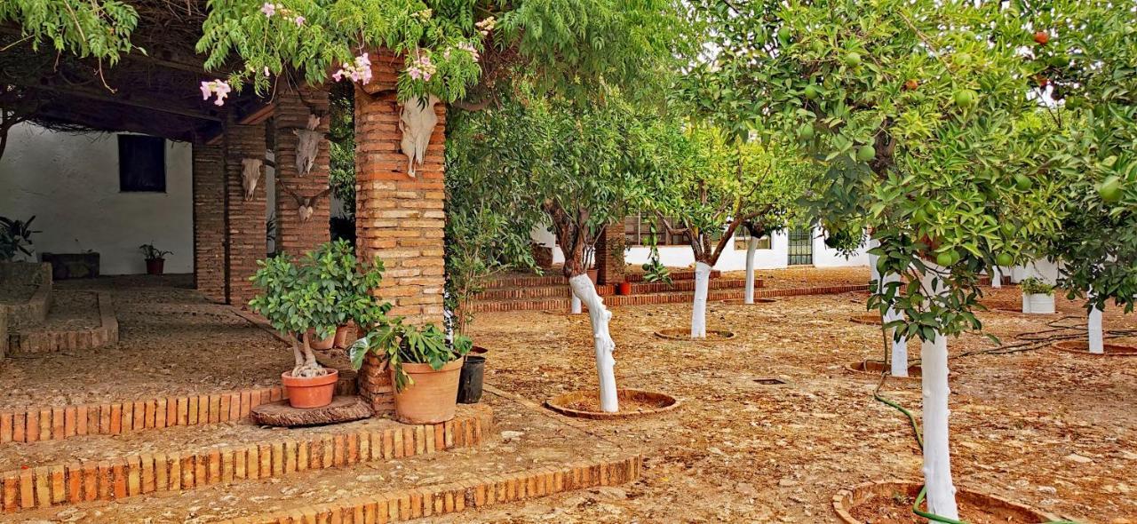 La Fuensanta Villa Орначуелос Екстериор снимка