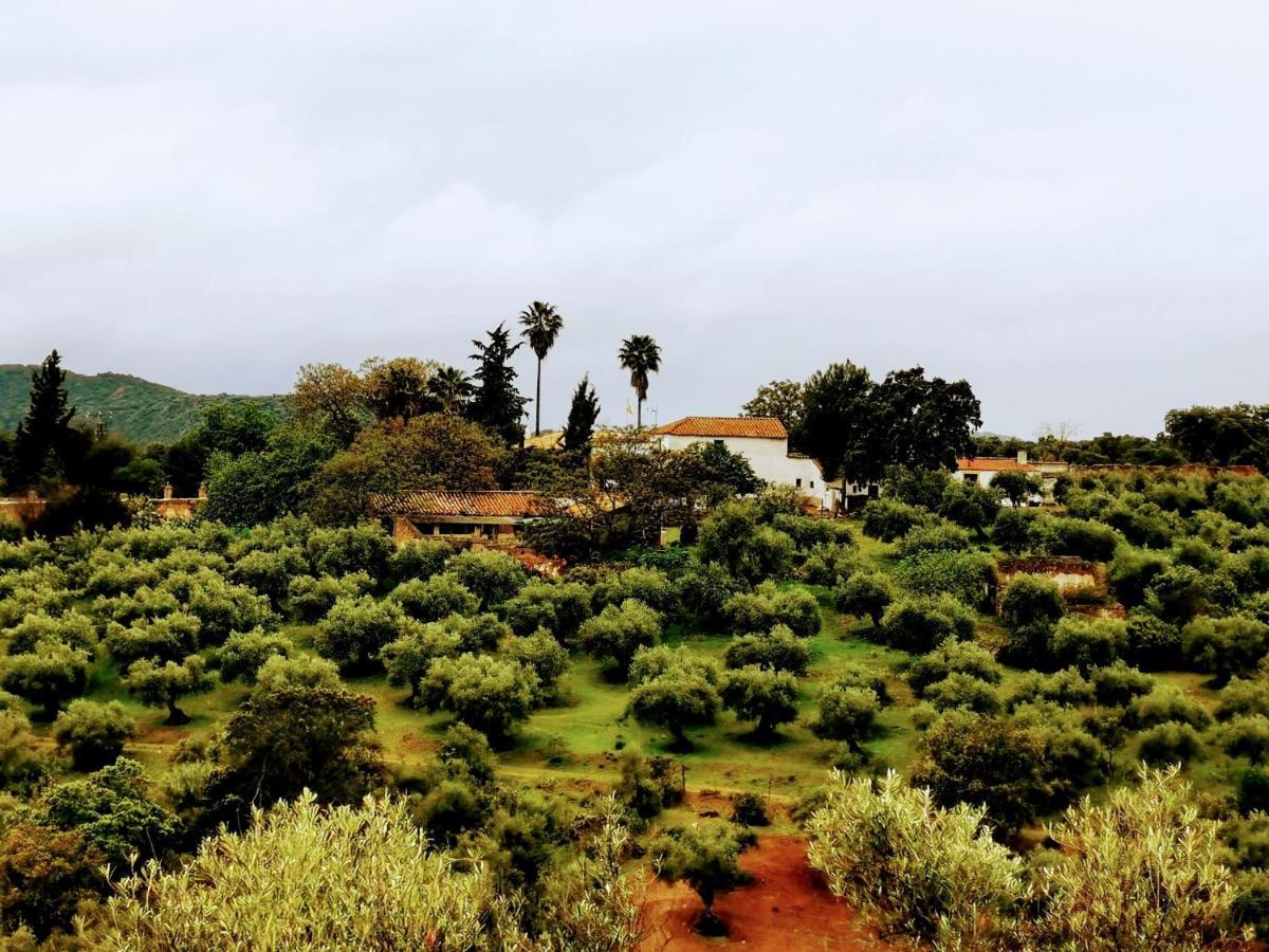La Fuensanta Villa Орначуелос Екстериор снимка